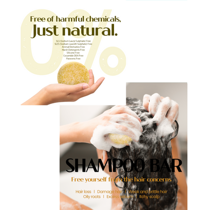 SHAMPOO BAR - SBB-2302 - H2PRO NOURISHING BLACK CASTOR (3.52 oz / 100 g) - PACK OF 6