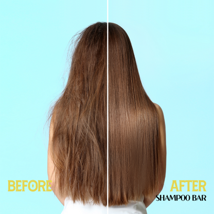 SHAMPOO BAR - SBT-2306 - H2PRO PURIFYING TEA TREE OIL (3.52 oz / 100 g) - PACK OF 6